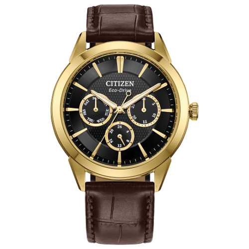 Citizen Men's Eco-Drive Classic Watch