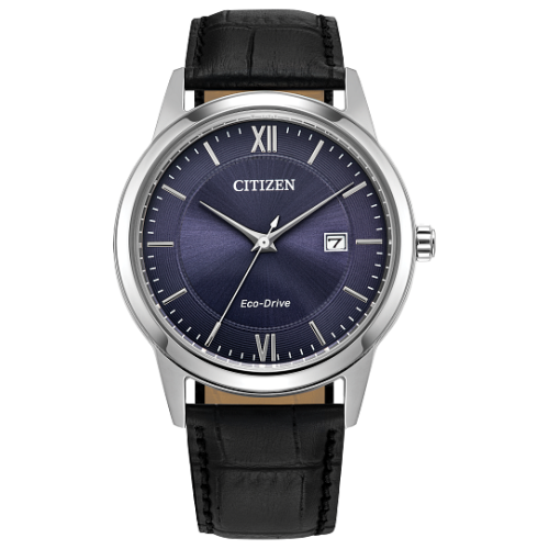 Citizen Men's Classic Watch