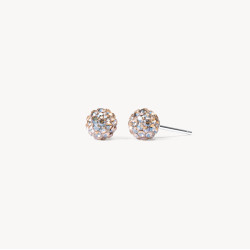 Champagne Sparkle Ball Stud Earrings - 6mm - Hillberg & Berk