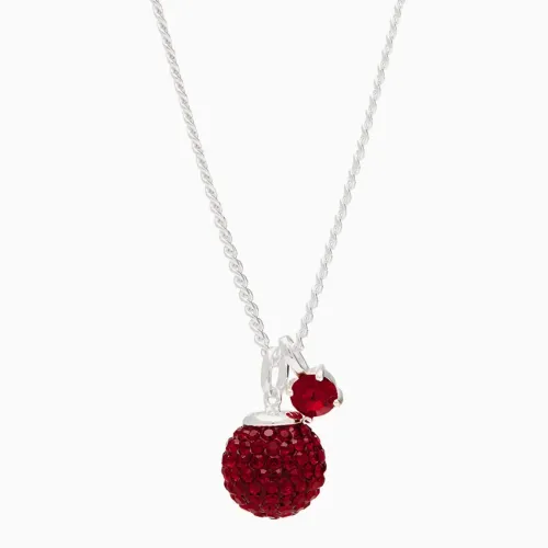 Birthstone (January) Sparkle Pendant Necklace- Hillberg & Berk