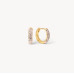 Champagne Always On Sparkle Hoop Earrings - Hillberg & Berk