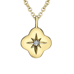 Star Set Canadian Diamond Necklace- 0.027ct TDW
