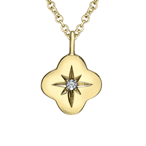 Star Set Canadian Diamond Necklace- 0.027ct TDW