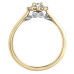 Tides of Love Canadian Diamond with Halo Ring- 0.35ct TDW